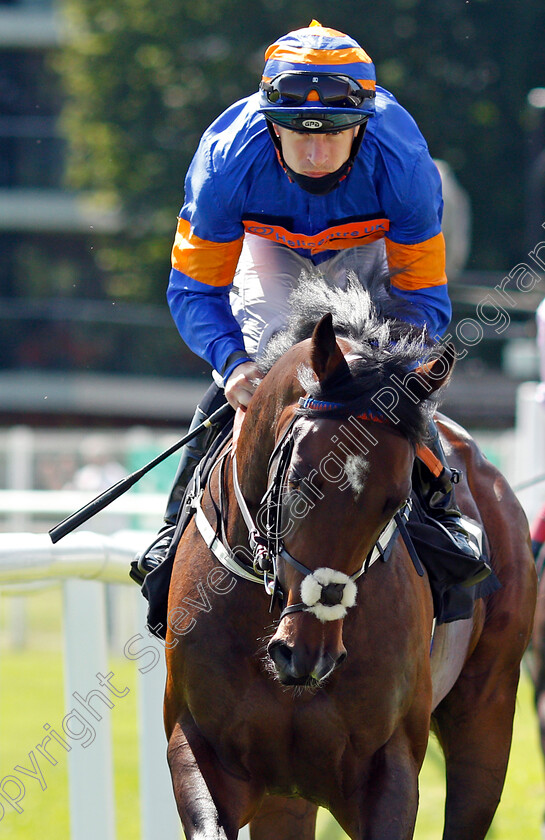 Oneforthegutter-0001 
 ONEFORTHEGUTTER (Richard Kingscote)
Newbury 16 Jul 2021 - Pic Steven Cargill / Racingfotos.com