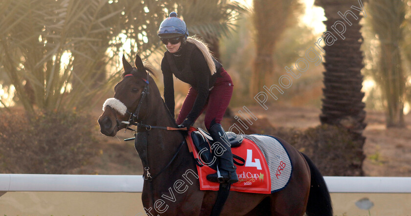 Al-Qareem-0001 
 AL QAREEM training for The Red Sea Turf Handicap 
King Abdulaziz Racecourse, Kingdom Of Saudi Arabia, 23 Feb 2023 - Pic Steven Cargill / Racingfotos.com