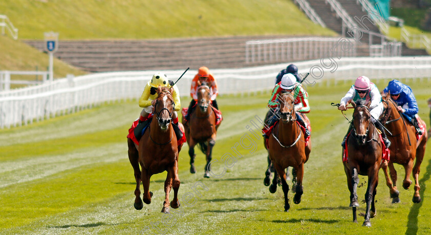 El-Drama-0004 
 EL DRAMA (left, Andrea Atzeni) beats MAXIMAL (right) in The tote+ Biggest Dividends At tote.co.uk Dee Stakes
Chester 6 May 2021 - Pic Steven Cargill / Racingfotos.com