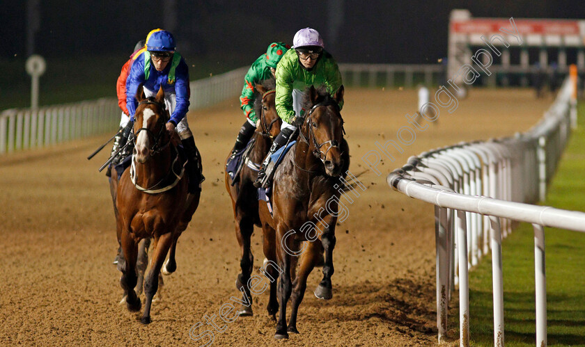 Uncle-Bryn-0003 
 UNCLE BRYN (Robert Havlin) wins The Ladbrokes Watch Racing Online For Free EBF Novice Stakes
Wolverhampton 24 Nov 2020 - Pic Steven Cargill / Racingfotos.com