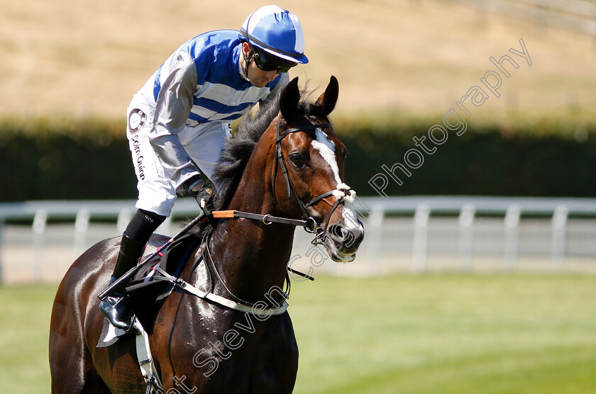 Eminent-0001 
 EMINENT (Colm O'Donoghue)
Goodwood 3 Aug 2018 - Pic Steven Cargill / Racingfotos.com