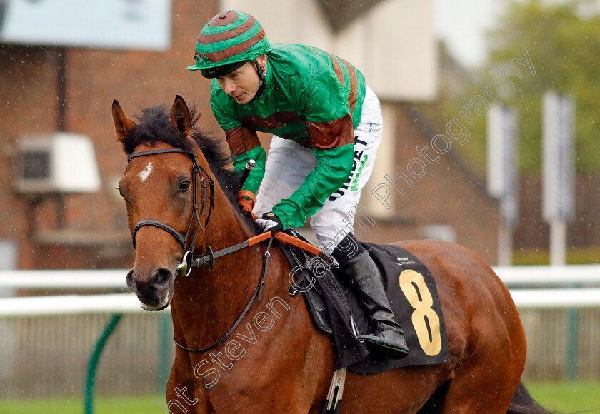 Raja-Raja-0001 
 RAJA RAJA (Jamie Spencer)
Newmarket 26 Sep 2024 - pic Steven Cargill / Racingfotos.com