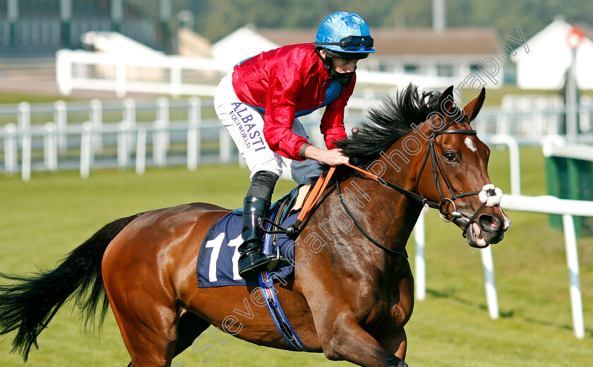 Dusk-0002 
 DUSK (Ryan Moore)
Yarmouth 15 Sep 2020 - Pic Steven Cargill / Racingfotos.com