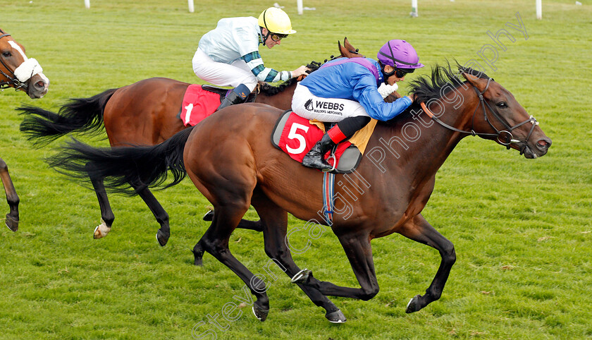 Dubai-Instinct-0006 
 DUBAI INSTINCT (Angus Villiers) wins The Betway Casino Handicap
Sandown 31 Aug 2019 - Pic Steven Cargill / Racingfotos.com