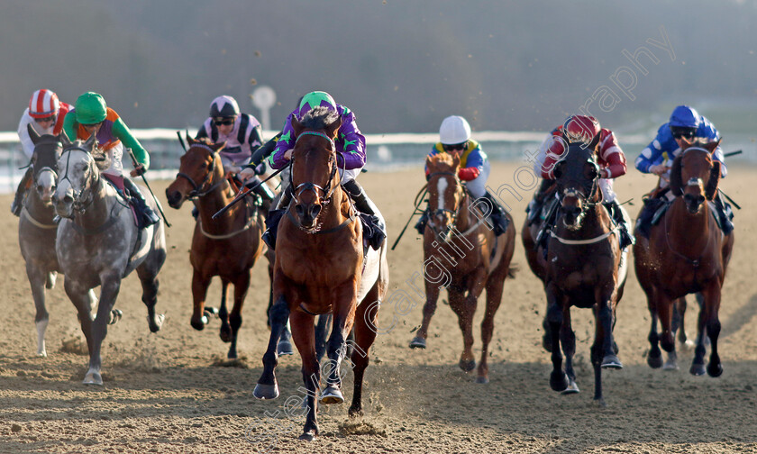 All-The-King s-Men-0003 
 ALL THE KING'S MEN (Ryan Moore) wins The Spreadex Sports Get £40 In Bonuses Handicap
Lingfield 21 Jan 2023 - Pic Steven Cargill / Racingfotos.com