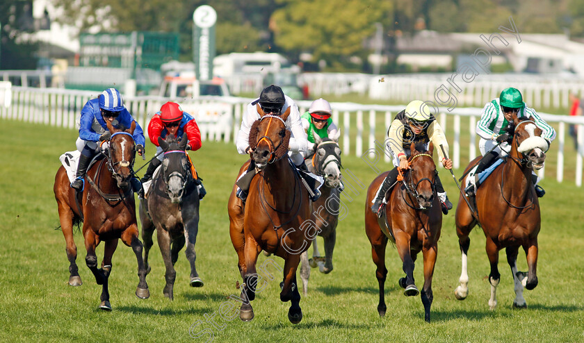 Tiffany-0010 
 TIFFANY (Luke Morris) wins The T. Von Zastrow Stutenpreis (Group 2)
Baden-Baden 31 Aug 2024 - Pic Steven Cargill / Racingfotos.com