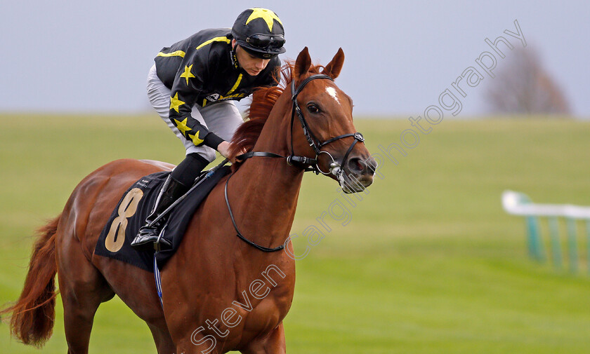 Moonlit-Warrior 
 MOONLIT WARRIOR (Callum Shepherd)
Newmarket 29 Oct 2021 - Pic Steven Cargill / Racingfotos.com