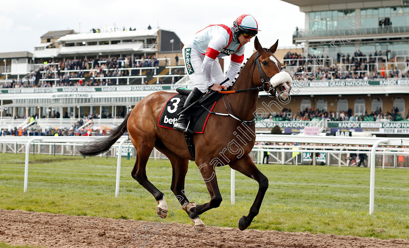 Itchy-Feet-0001 
 ITCHY FEET (Gavin Sheehan)
Aintree 5 Apr 2019 - Pic Steven Cargill / Racingfotos.com