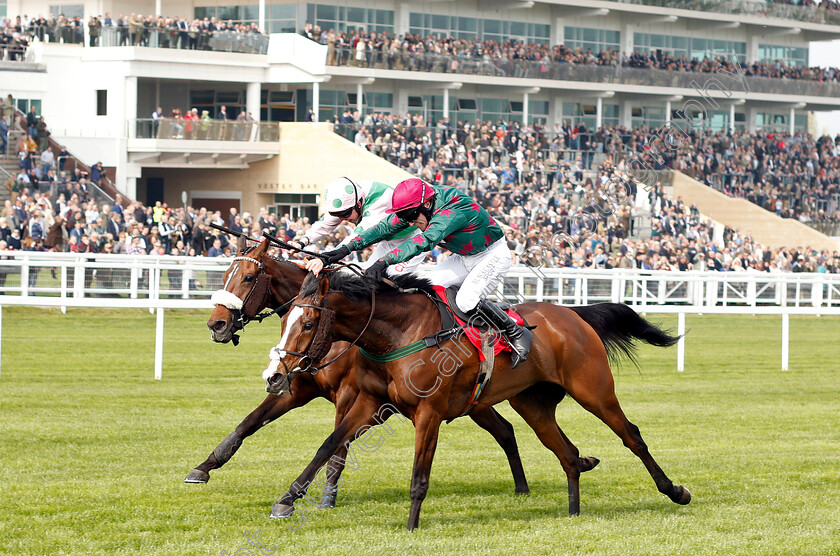 Mister-Whitaker-0002 
 MISTER WHITAKER (Jonathan Burke) wins The Cure Parkinson's And Hambo Foundation Silver Trophy Chase
Cheltenham 17 Apr 2019 - Pic Steven Cargill / Racingfotos.com