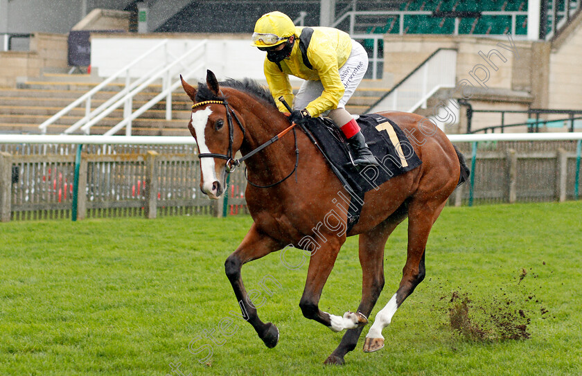 Mobadra-0001 
 MOBADRA (Andrea Atzeni)
Newmarket 31 Oct 2020 - Pic Steven Cargill / Racingfotos.com