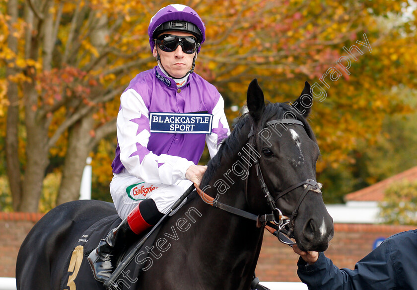 Blackcastle-Storm-0001 
 BLACKCASTLE STORM (Shane Kelly)
Newmarket 23 Oct 2019 - Pic Steven Cargill / Racingfotos.com