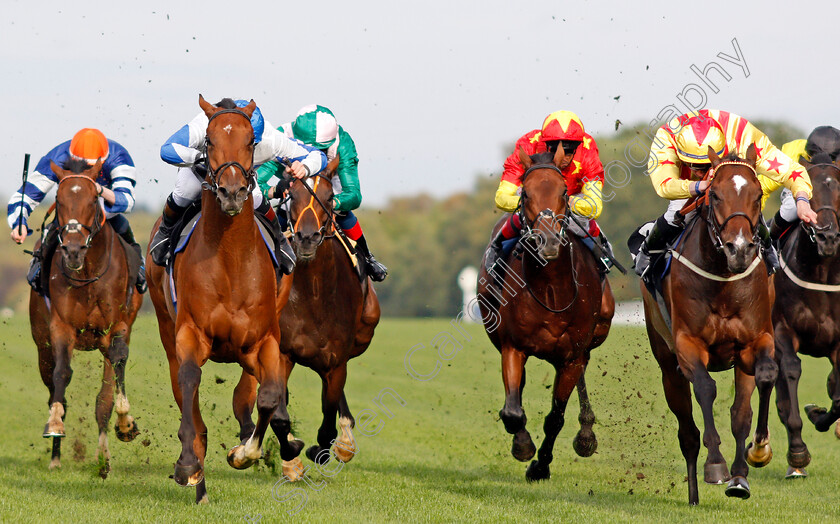 Francis-Xavier-0004 
 FRANCIS XAVIER (right, Rossa Ryan) beats PROTECTED GUEST (left) in The Victoria Racing Club Handicap
Ascot 6 Sep 2019 - Pic Steven Cargill / Racingfotos.com