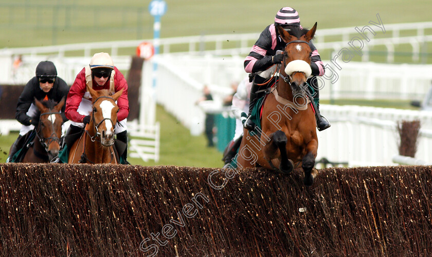 Kupatana-0001 
 KUPATANA (Harry Cobden) wins The EBF Thoroughbred Breeders Association Mares Novices Handicap Chase Series Final
Cheltenham 18 Apr 2019 - Pic Steven Cargill / Racingfotos.com