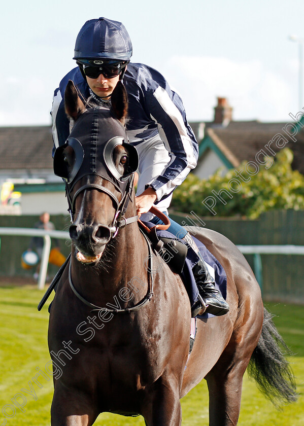 Breath-Of-Spring-0001 
 BREATH OF SPRING (Stefano Cherchi)
Yarmouth 17 Sep 2019 - Pic Steven Cargill / Racingfotos.com