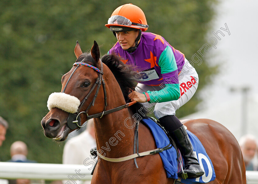 Mrs-Gallagher-0001 
 MRS GALLAGHER (Josephine Gordon) Salisbury 7 Sep 2017 - Pic Steven Cargill / Racingfotos.com