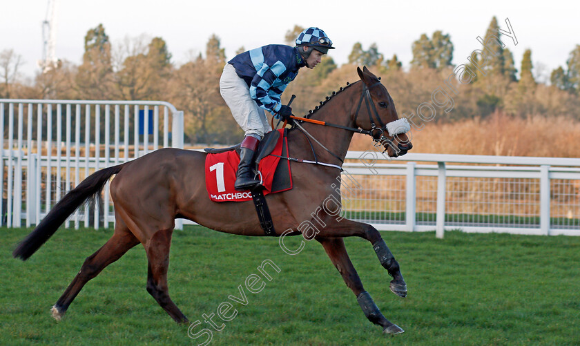 Thomas-Darby-0001 
 THOMAS DARBY (Richard Johnson) winner of The Matchbook Holloway's Handicap Hurdle
Ascot 18 Jan 2020 - Pic Steven Cargill / Racingfotos.com