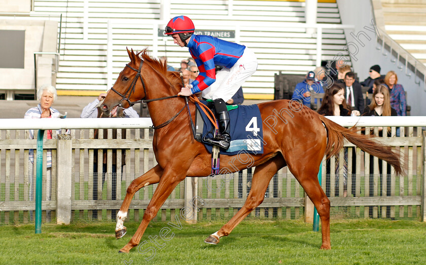 Diamond-Vega-0001 
 DIAMOND VEGA (Rossa Ryan)
Newmarket 28 Oct 2022 - Pic Steven Cargill / Racingfotos.com