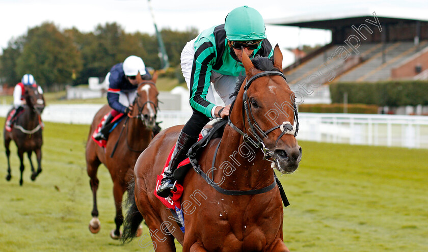 Century-Dream-0006 
 CENTURY DREAM (James Doyle) wins The Ladbrokes Celebration Mile
Goodwood 29 Aug 2020 - Pic Steven Cargill / Racingfotos.com