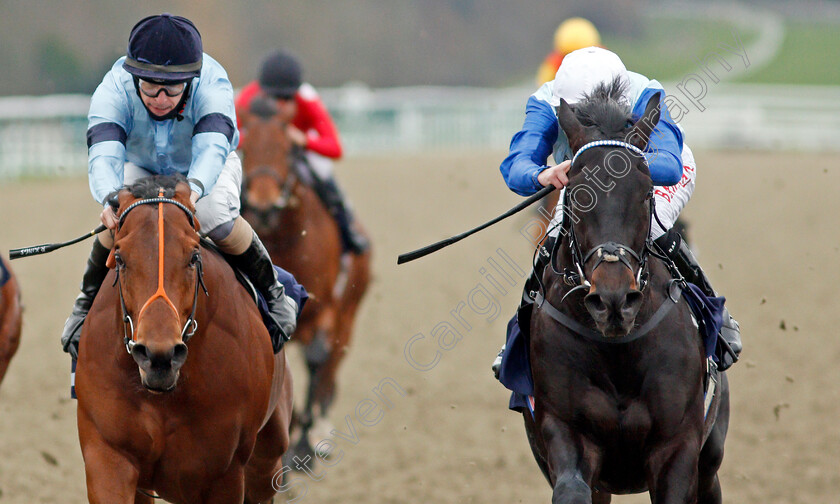 Sir-Edward-Elgar-0006 
 SIR EDWARD ELGAR (right, Robert Havlin) beats HOST (left) in The Bombardier British Hopped Amber Beer Maiden Stakes
Lingfield 27 Jan 2021 - Pic Steven Cargill / Racingfotos.com