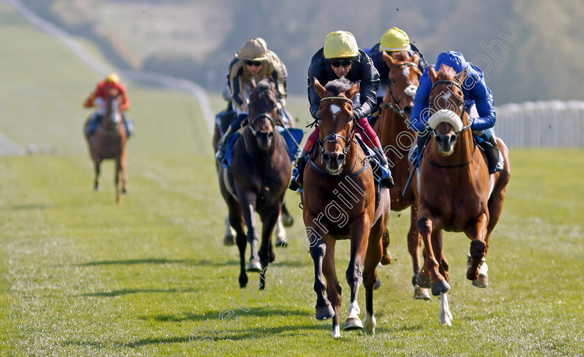 Magisterial-0004 
 MAGISTERIAL (Frankie Dettori) wins The Coors Novice Stakes
Leicester 23 Apr 2022 - Pic Steven Cargill / Racingfotos.com