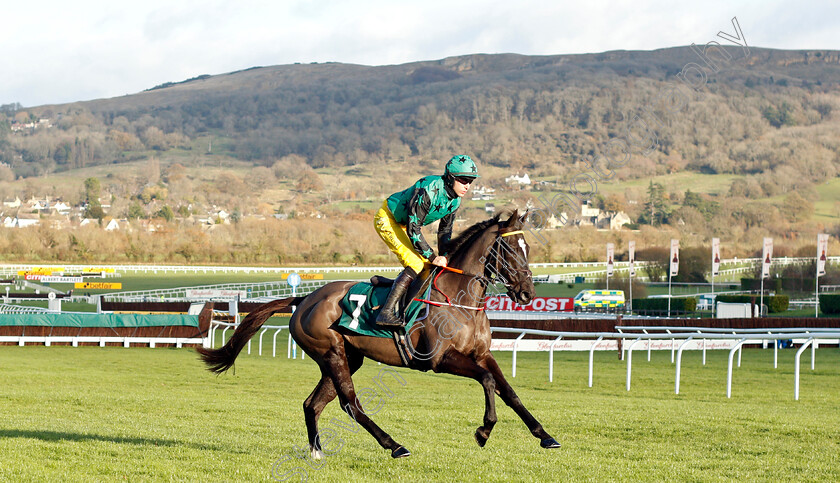 Pretty-Little-Liar-0001 
 PRETTY LITTLE LIAR (Aidan Coleman)
Cheltenham 10 Dec 2021 - Pic Steven Cargill / Racingfotos.com