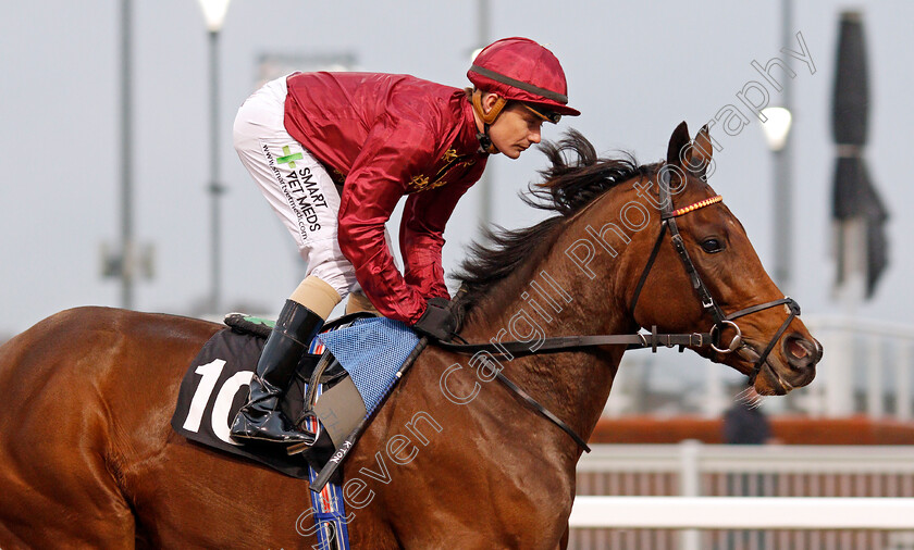 Pharoah-King-0002 
 PHAROAH KING (Kieran O'Neill)
Chelmsford 25 Nov 2019 - Pic Steven Cargill / Racingfotos.com