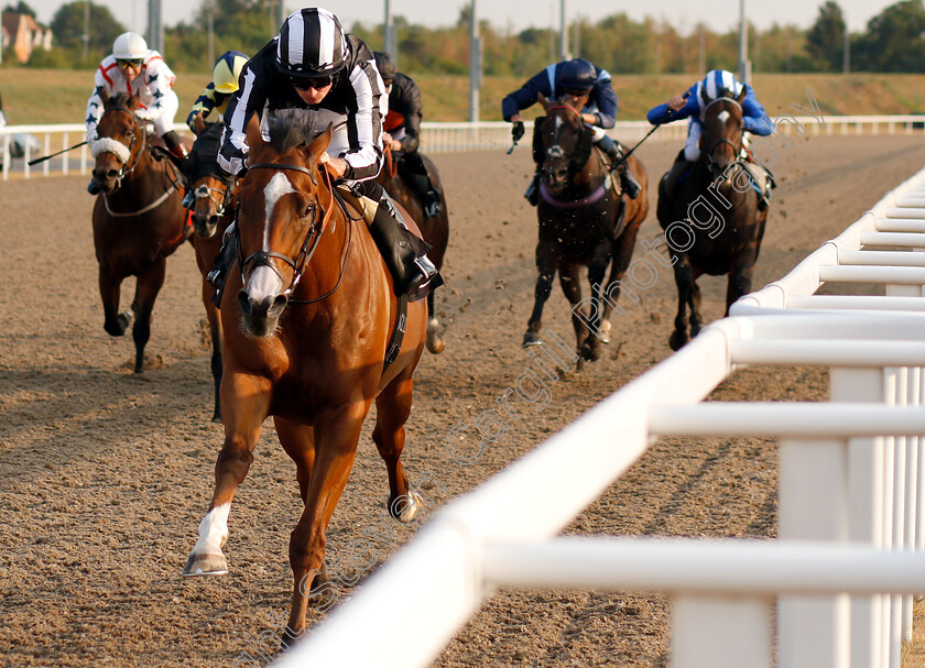 Cenotaph-0003 
 CENOTAPH (Ryan Moore) wins The Budweiser Handicap
Chelmsford 24 Jul 2018 - Pic Steven Cargill / Racingfotos.com