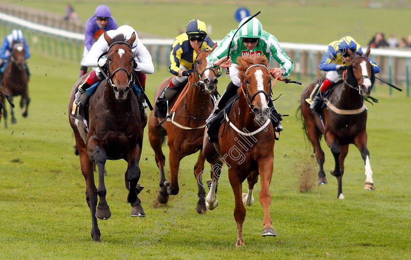 The-Olympian-0001 
 THE OLYMPIAN (right, Martin Harley) beats TRAVEL ON (left) in The Aptus Investment Fund Maiden Stakes
Newmarket 24 Oct 2018 - Pic Steven Cargill / Racingfotos.com