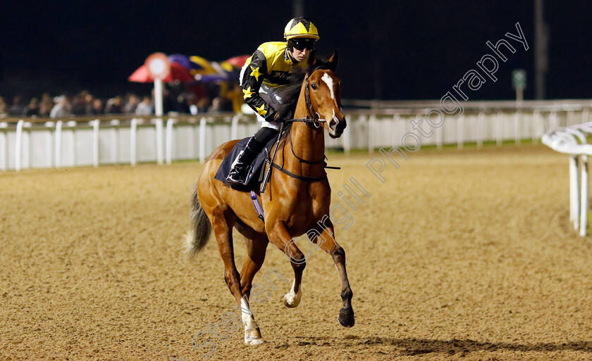 Warm-Glow-0001 
 WARM GLOW (Ross Coakley)
Wolverhampton 20 Dec 2024 - Pic Steven Cargill / Racingfotos.com