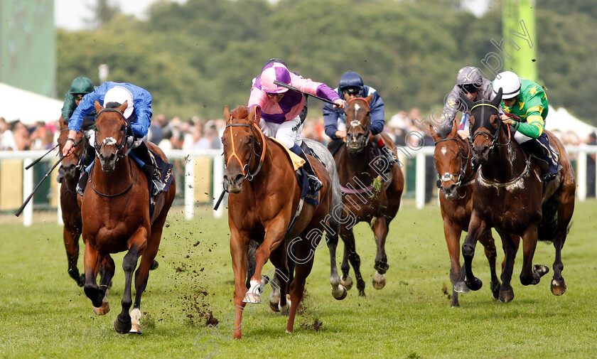 Bacchus-0001 
 BACCHUS (centre, Jim Crowley) beats DREAMFIELD (left) in The Wokingham Stakes
Royal Ascot 23 Jun 2018 - Pic Steven Cargill / Racingfotos.com