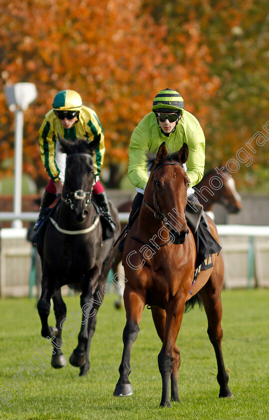 Kathleen-Mary-0001 
 KATHLEEN MARY (Richard Kingscote)
Newmarket 23 Oct 2024 - Pic Steven Cargill / Racingfotos.com