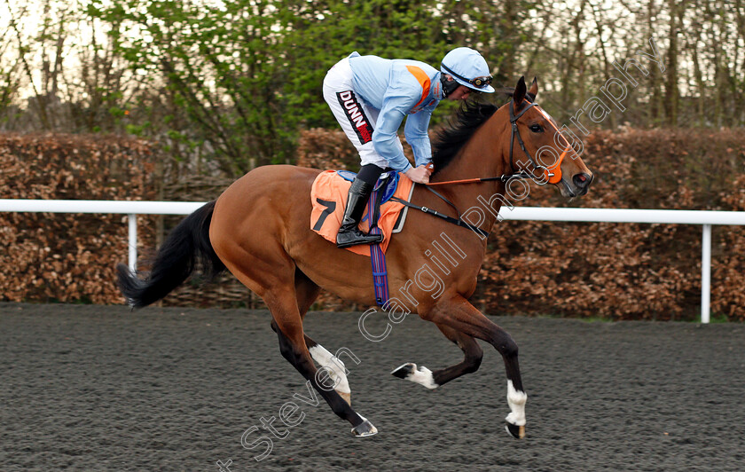 Ventura-Glory-0001 
 VENTURA GLORY (Rossa Ryan)
Kempton 23 Mar 2019 - Pic Steven Cargill / Racingfotos.com