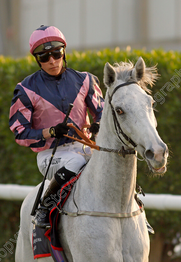 Lord-Glitters-0027 
 LORD GLITTERS (Jason Watson) goes to the start for The Bahrain International Trophy
Sakhir Racecourse, Bahrain 19 Nov 2021 - Pic Steven Cargill / Racingfotos.com