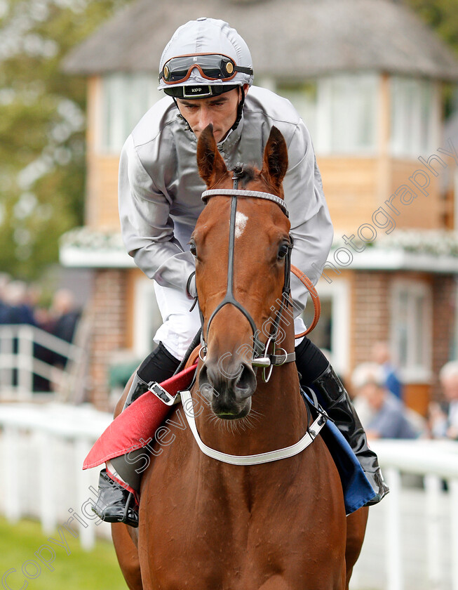 Living-In-The-Past-0001 
 LIVING IN THE PAST (Daniel Tudhope) before The Sky Bet Lowther Stakes
York 22 Aug 2019 - Pic Steven Cargill / Racingfotos.com