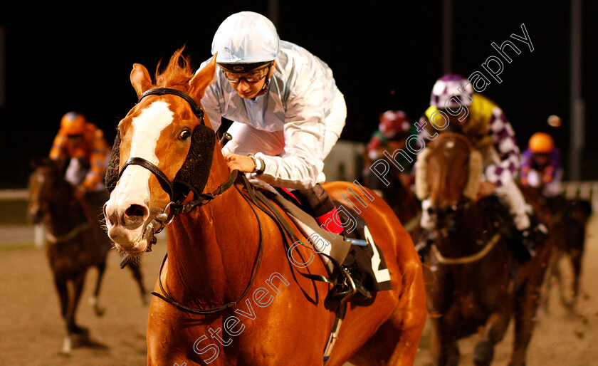 Houlton-0001 
 HOULTON (Gabriele Malune) wins The Double Delight Hat-Trick Heaven At totesport.com Handicap
Chelmsford 29 Nov 2018 - Pic Steven Cargill / Racingfotos.com