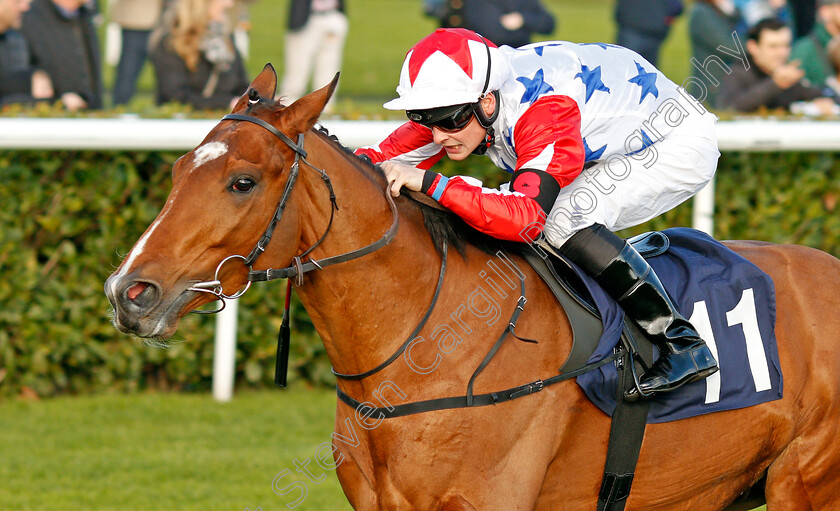 What s-The-Story-0006 
 WHAT'S THE STORY (Callum Rodriguez) wins The Betfred Home Of Goals Galore Apprentice Handicap Doncaster 11 Nov 2017 - Pic Steven Cargill / Racingfotos.com