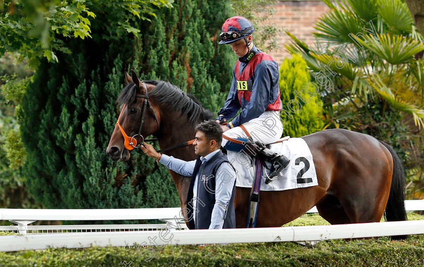 Regimented-0001 
 REGIMENTED (Luke Catton)
Kempton 10 Jul 2019 - Pic Steven Cargill / Racingfotos.com