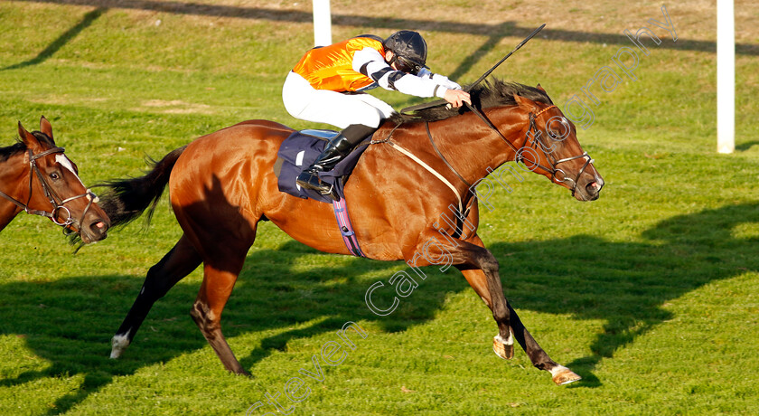 Jade-Country-0003 
 JADE COUNTRY (Charles Bishop) wins The Sky Sports Racing Sky 415 Handicap
Yarmouth 15 Sep 2022 - pic Steven Cargill / Racingfotos.com