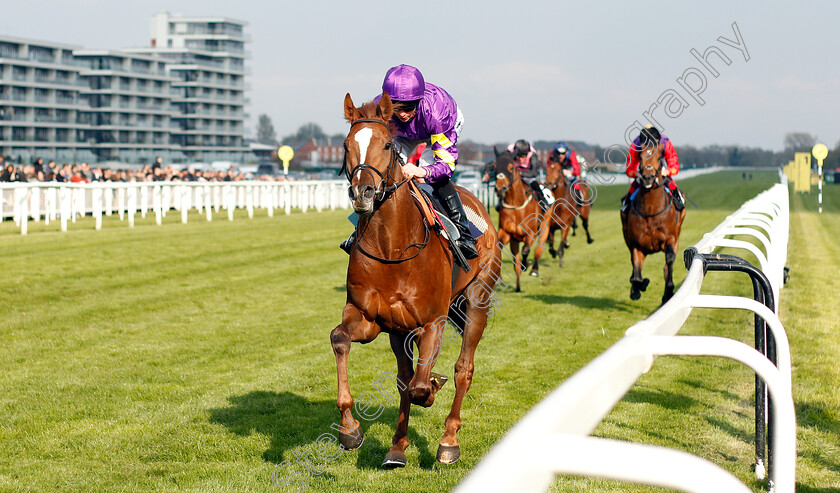 Majestic-Dawn-0002 
 MAJESTIC DAWN (David Probert) wins The Dreweatts Maiden Stakes
Newbury 13 Apr 2019 - Pic Steven Cargill / Racingfotos.com