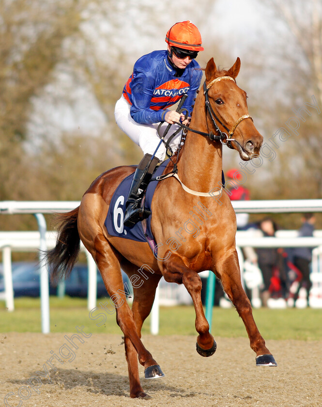 Golden-Slumbers-0002 
 GOLDEN SLUMBERS (Eoin Walsh)
Lingfield 18 Dec 2019 - Pic Steven Cargill / Racingfotos.com