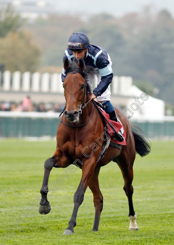 Dark-Jedi-0001 
 DARK JEDI (William Buick)
Longchamp 7 Oct 2018 - Pic Steven Cargill / Racingfotos.com