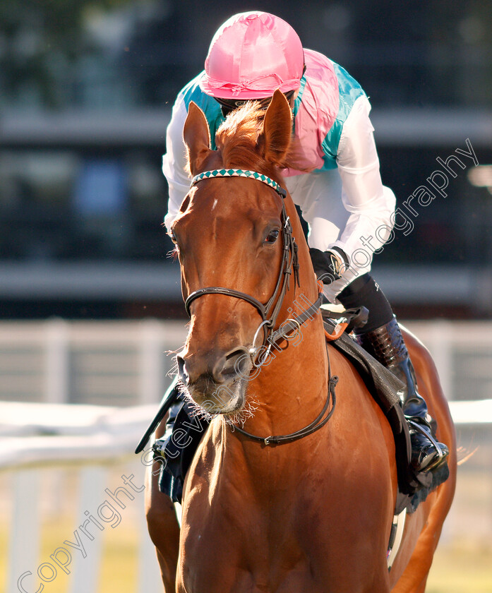 Quadrilateral-0001 
 QUADRILATERAL (Jason Watson) before The Dubai Duty Free Full Of Surprises British EBF Fillies Conditions Stakes
Newbury 20 Sep 2019 - Pic Steven Cargill / Racingfotos.com