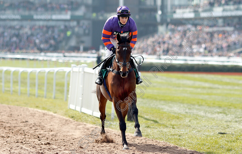 Tommy-Rapper-0001 
 TOMMY RAPPER (Bridget Andrews)
Aintree 6 Apr 2019 - Pic Steven Cargill / Racingfotos.com