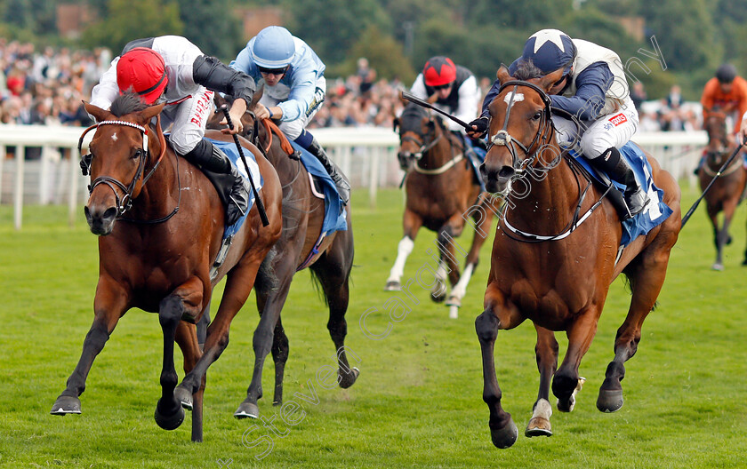 Forbearance-0003 
 FORBEARANCE (right, Hollie Doyle) beats DOMINO DARLING (left) in The British EBF & Sir Henry Cecil Galtres Stakes
York 19 Aug 2021 - Pic Steven Cargill / Racingfotos.com