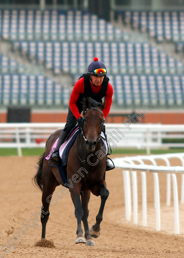 Jahbath-0003 
 JAHBATH training for the UAE Derby
Meydan 27 Mar 2019 - Pic Steven Cargill / Racingfotos.com