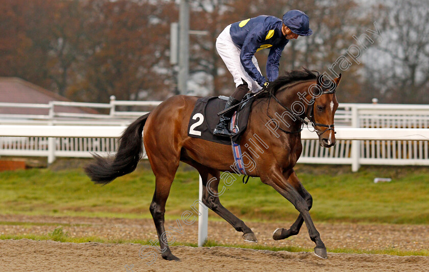 A-Star-Above-0001 
 A STAR ABOVE (James Doyle)
Chelmsford 25 Nov 2019 - Pic Steven Cargill / Racingfotos.com