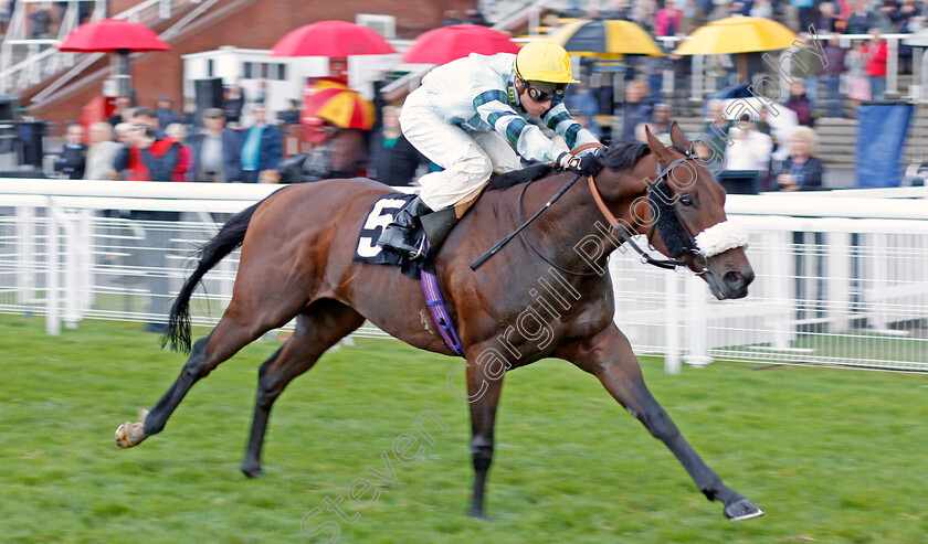 Simoon-0003 
 SIMOON (Jason Watson) wins The Orchard Thieves Handicap
Goodwood 25 Sep 2019 - Pic Steven Cargill / Racingfotos.com