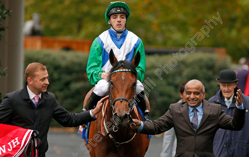 One-Master-0008 
 ONE MASTER (Martin Harley) after The Totepool British EBF October Stakes Ascot 7 Oct 2017 - Pic Steven Cargill / Racingfotos.com