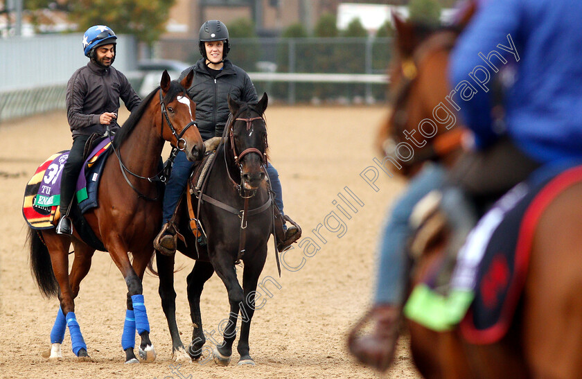 Enable-0004 
 ENABLE exercising ahead of the Breeders' Cup Turf
Churchill Downs 30 Oct 2018 - Pic Steven Cargill / Racingfotos.com