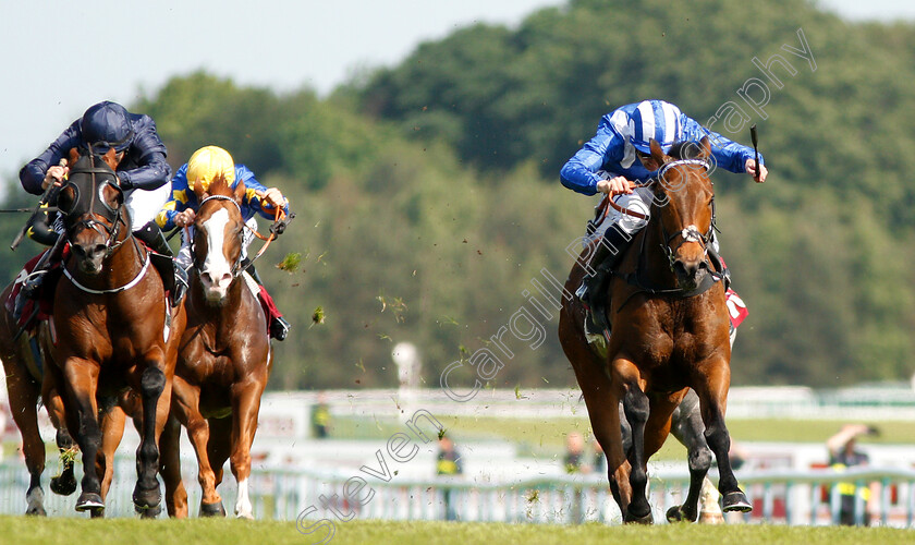 Battaash-0004 
 BATTAASH (right, Dane O'Neill) beats WASHINGTON DC (left) in The Armstrong Aggregates Temple Stakes
Haydock 26 May 2018 - Pic Steven Cargill / Racingfotos.com